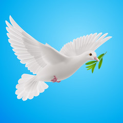 Fly dove