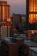 Naklejka premium Miasto Johannesburg skąpane w popołudniowym słońcu. Zdjęcie budynków i dachów z przedmieść Braamfontein w centrum miasta.