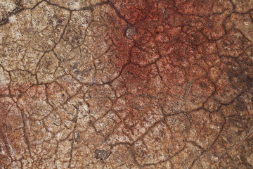 Naklejka premium abstract texture wall cracked red brown