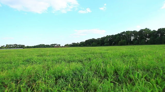 old hay field at susnset in summer fly video