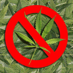 Prohibition sign on cannabis. Seamless background