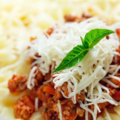 Pasta with meat cheese and garnish with mint.