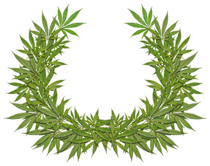 A wreath of green leaves cannabis