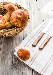 boletus mushrooms on a gray board, rustic background, selective