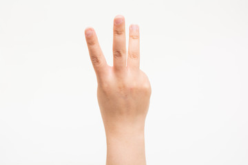 The hands of children No3 子供の手でNo3