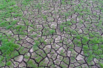Drought, dry earth.