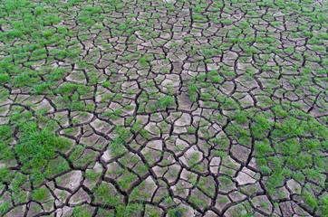 Drought, dry earth.