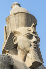 Head of Ramses II at the Luxor Temple, Egypt - obrazy, fototapety, plakaty