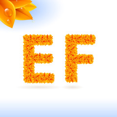 Sans serif font with fall leaf decoration