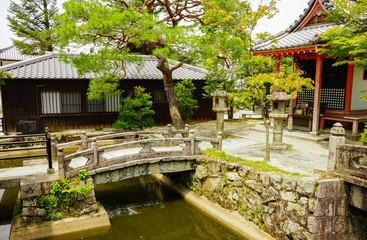 Japanese Traditional Garden