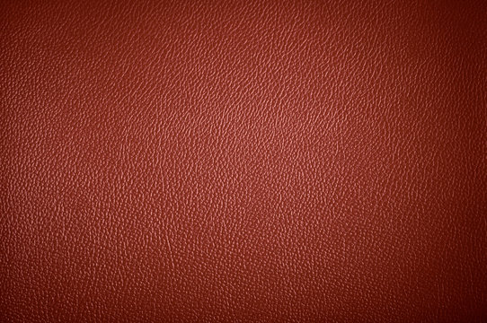 The surface of the leather