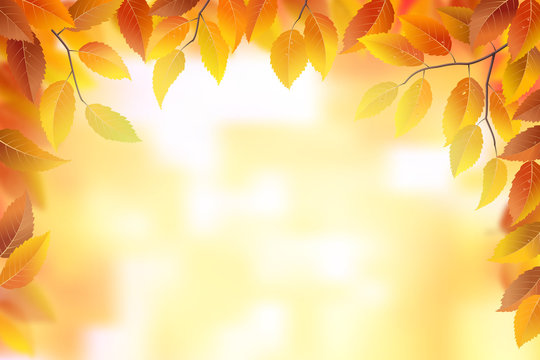 Autumn leaves frame background, vector illustration