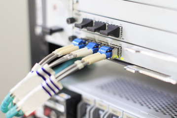 Optical Patch Cord. Optical patch cord connected to telecommunications equipment