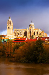 Fototapeta na wymiar Salamanca Cathedral from Tormes River