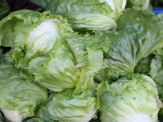 Pile of fresh iceberg lettuce.  © veou