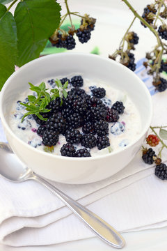 Sch&uuml;ssel mit Joghurt und frisch gepfl&uuml;ckten Brombeeren