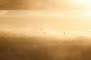 Fototapeta na wymiar Wind farm in morning mist