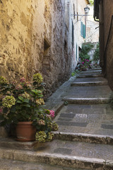 Fototapeta na wymiar Old stone stairs in Tuscany