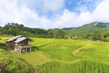 Fototapeta na wymiar Old Cottage and green terraced rice field in Chiang Mai, Thailan