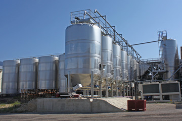 Obraz premium Vinification