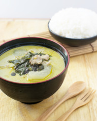 Pork green curry with rice