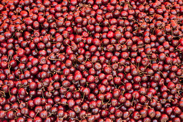 Cherries on pile