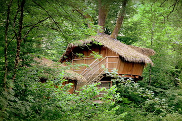 Camping: Cabane dans les branches.