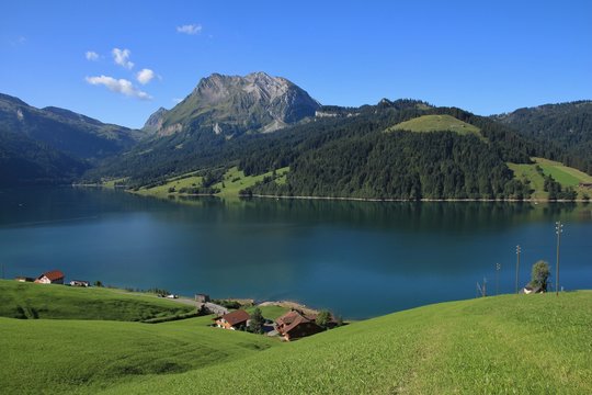 Green summer landscape at lake Waegitalersee
