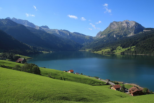 Green farmland, lake Waegitalersee and Fluebrig