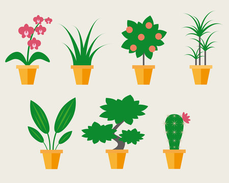 Flat style Houseplants