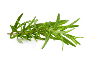 Fototapeta premium rosemary isolated on white background