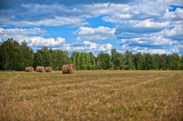 Haystacks