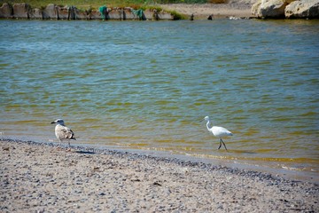 Obraz premium Costa Mediterránea