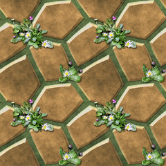 Seamless relief pavement pattern of brown polygonal stones and daisies