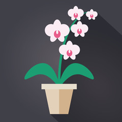 Flat style Houseplant Orchid