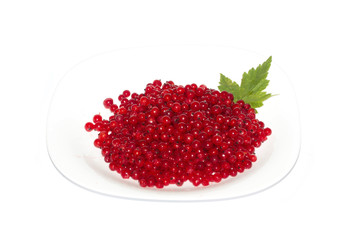 red currants