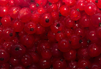 red currants