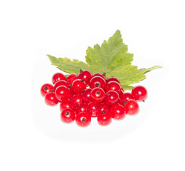 red currants