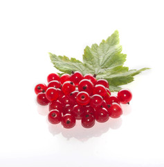 red currants