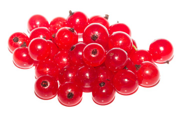 red currants