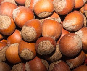 hazelnuts 