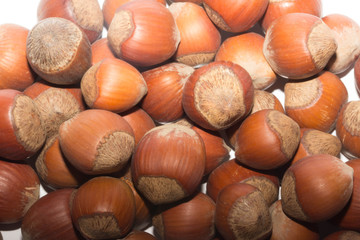 hazelnuts 