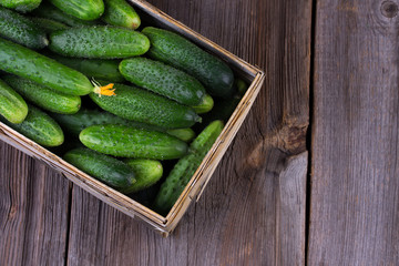 Cucumbers on a wooden background.