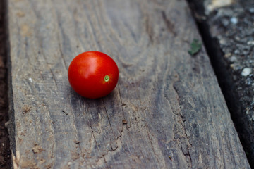 Little lonely tomato