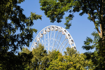 Ferris wheel in the trees