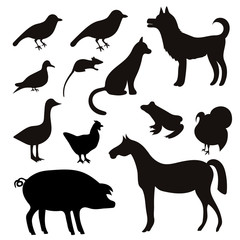 Vector Set of Black Tropical Animals and Birds Silhouettes.