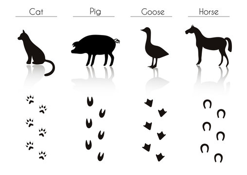Set of Black Farm Animals and Birds Silhouettes: Cat, Pig, Goose