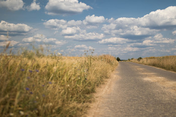 Fototapeta na wymiar Dirt Road with a Sky Full of Clouds