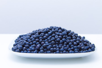 bilberry