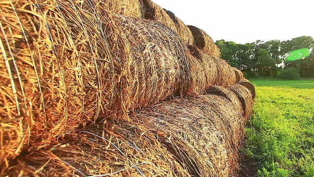 Hay is in the bale in a field at sunset in August, harvesting